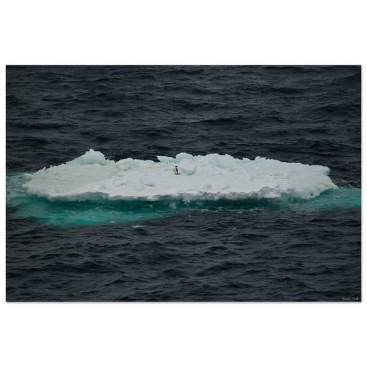 2e5a3b66-2252-46d3-af05-894349366aeb