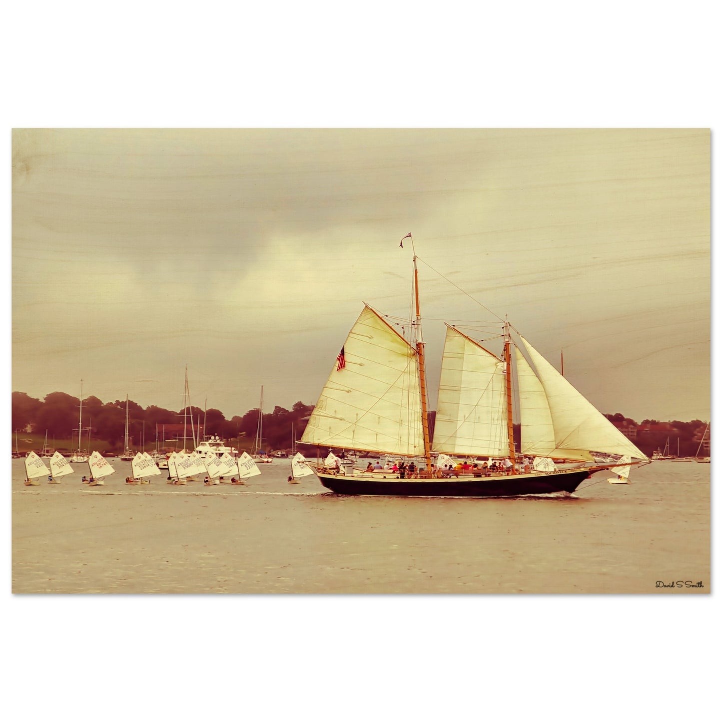 2f21cc32-d859-44d6-b981-8b2408da0f3f