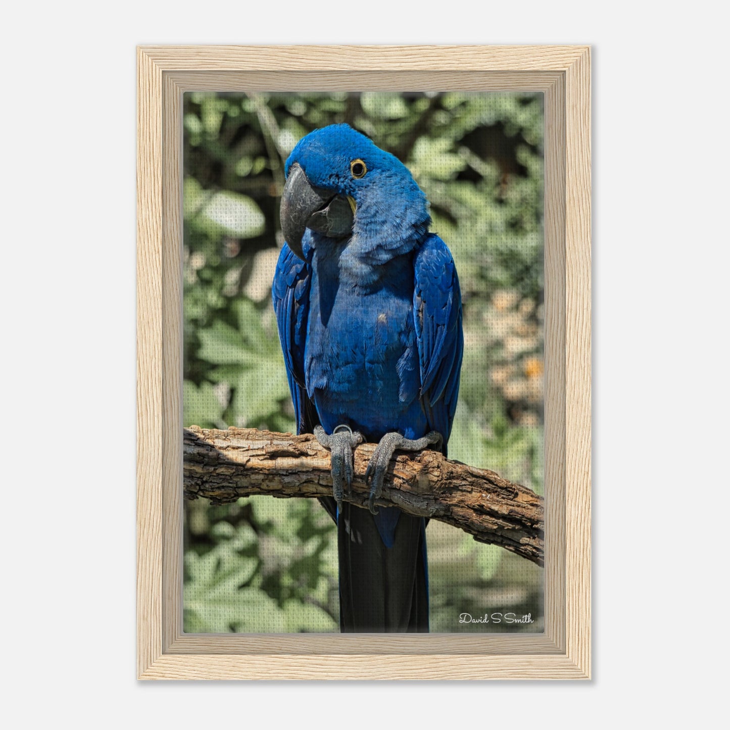 308c3d7c-9a50-453a-af73-f522a3cfc51d