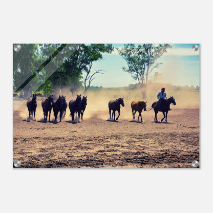 3297a973-b51f-429a-b438-61e42ce49ff8