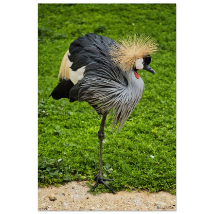 33ee1e34-2efc-41bc-bfa4-e84117b7d5ff