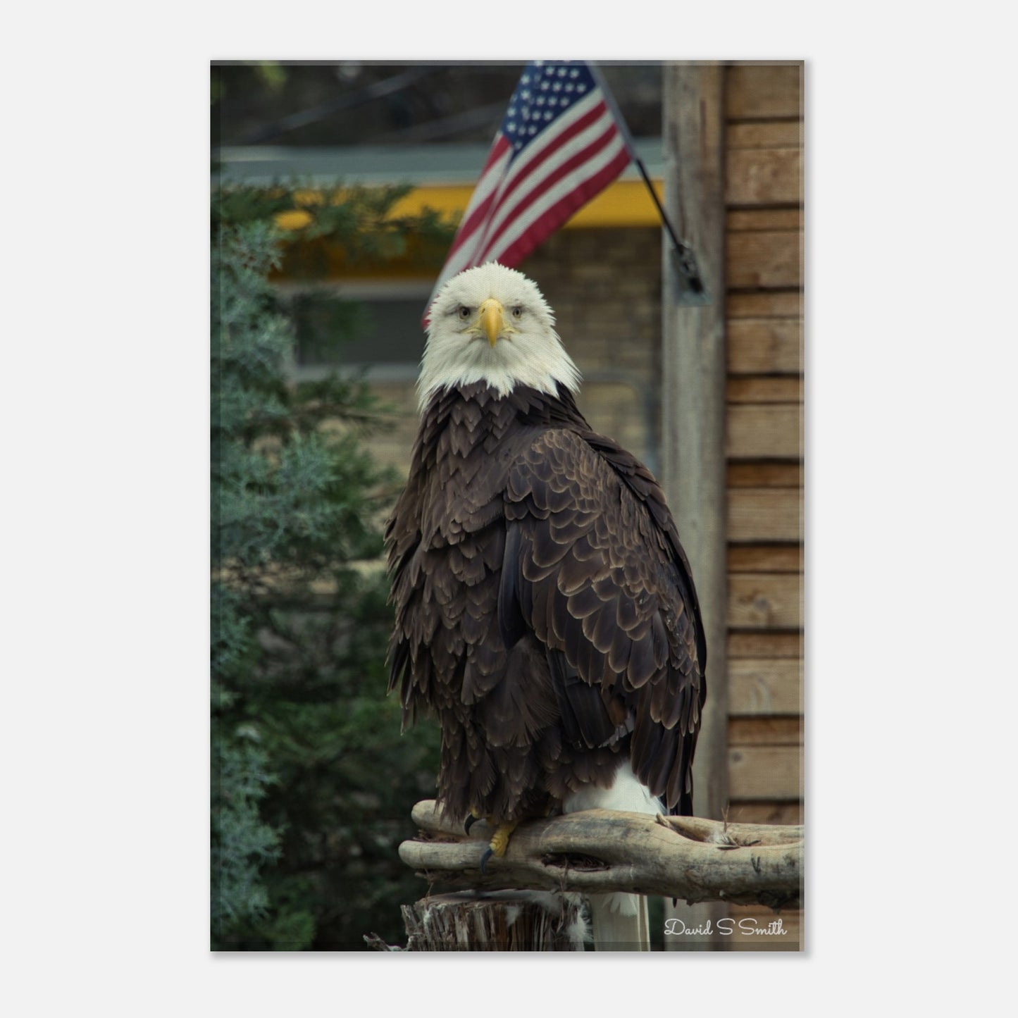 35407825-bff3-4f21-b6e5-d97aaeddb51f