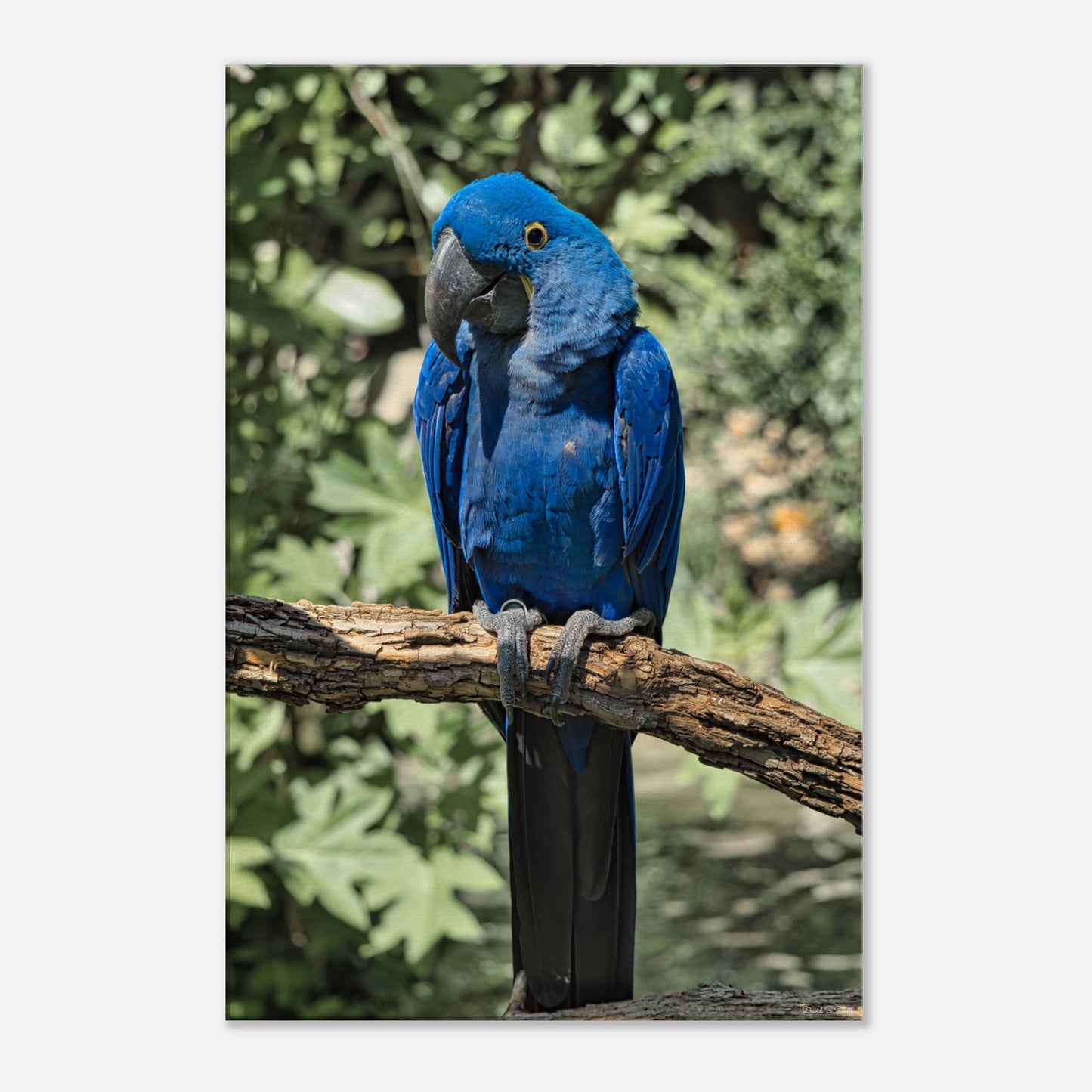 354c9310-a22d-4d67-9e59-2dc0ca450baa