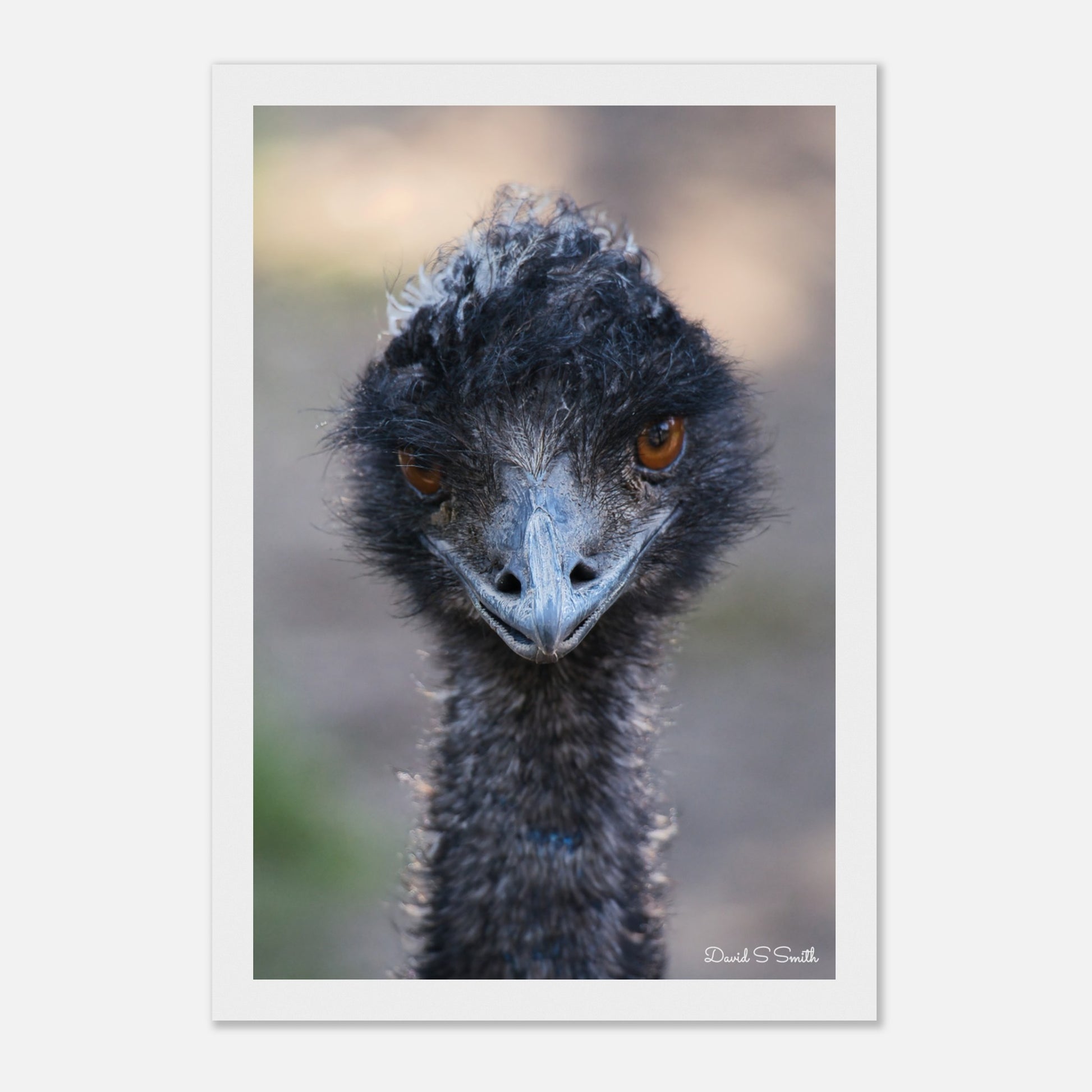 36ff687a-da05-46af-80d6-58e30b3408ae