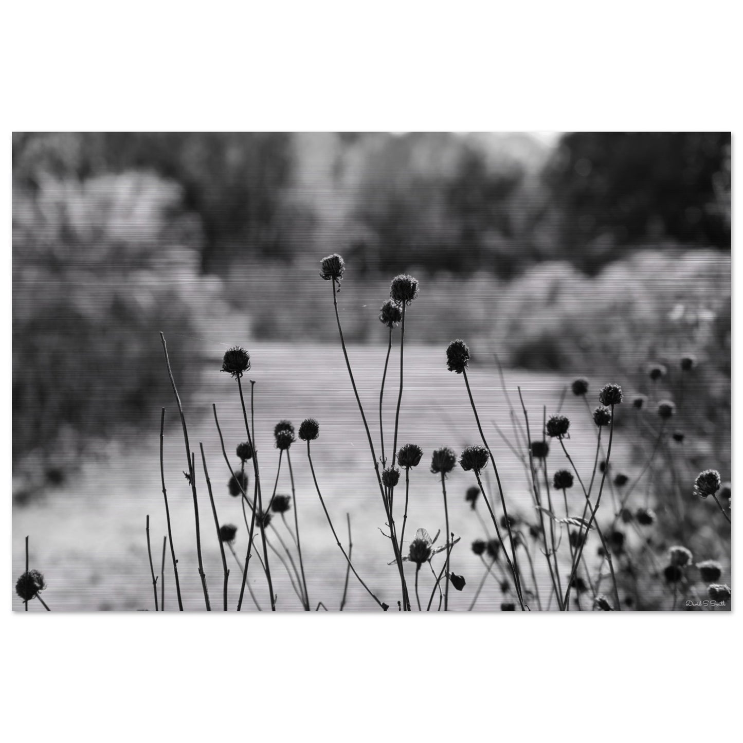 38e56f69-a358-4179-b3d5-dd2fd5ceeb76