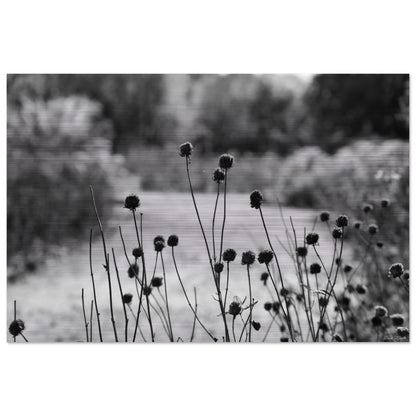 38e56f69-a358-4179-b3d5-dd2fd5ceeb76