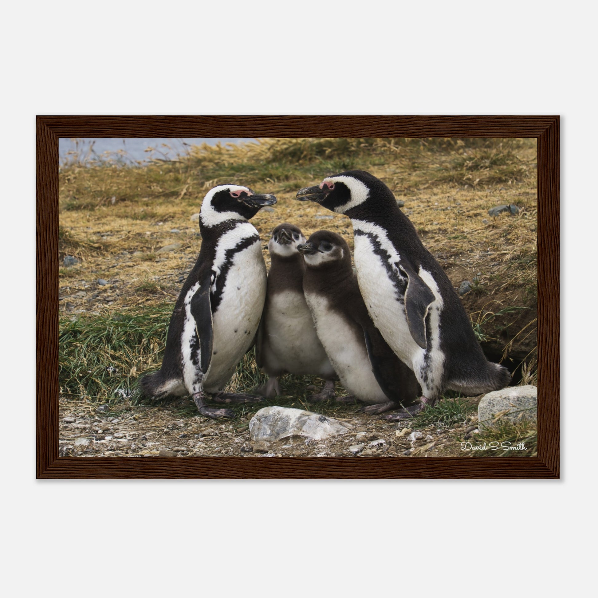 3af0ee44-25a6-49d0-82c6-746552d774ad