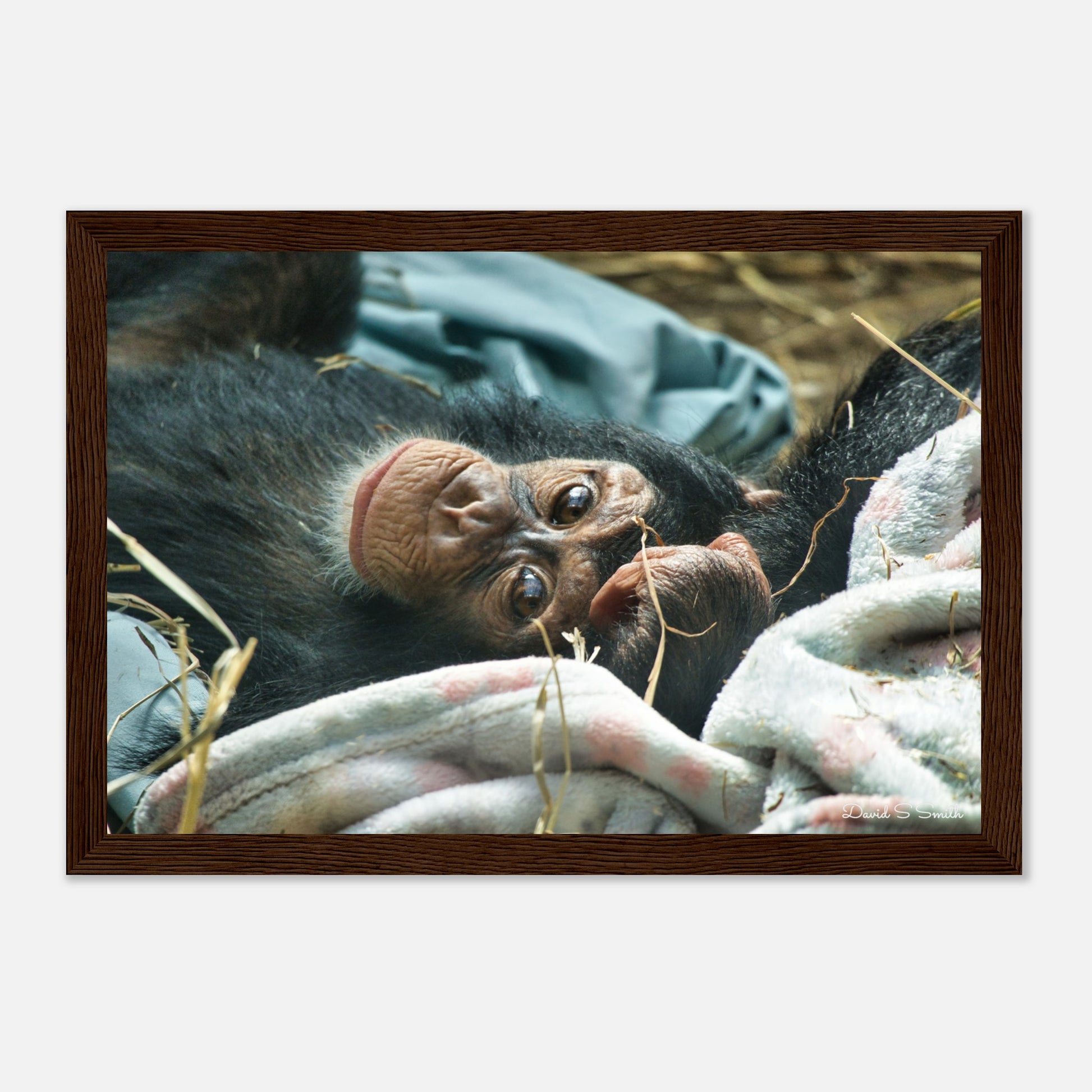 3b06be42-b5b7-4d86-95c8-3e77a15d23de