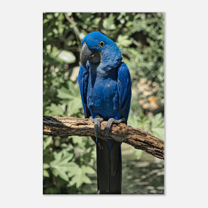 3bc161f2-d03e-487f-b86f-a7c8cd7a670f