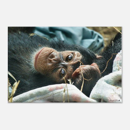 3ee73356-68ba-48ef-8ded-ee37e80a851f