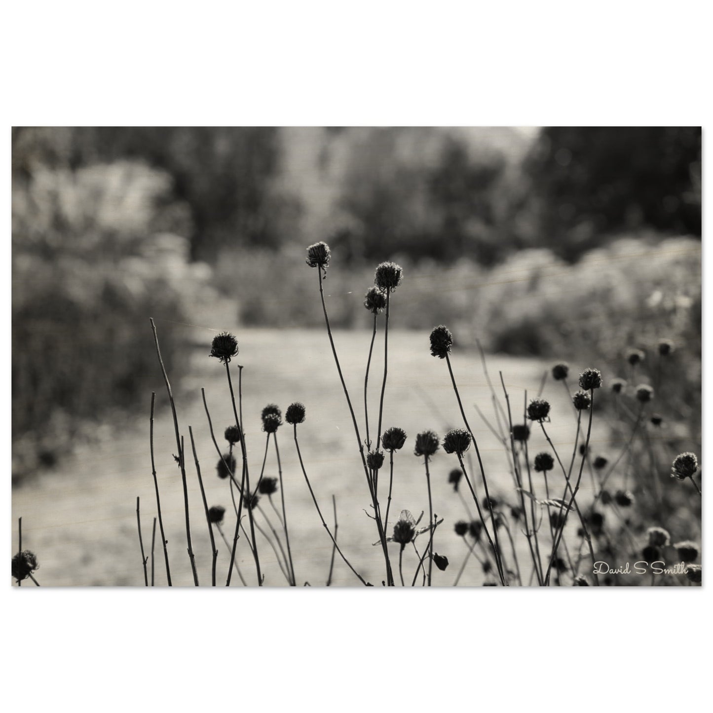 3f63ab56-4679-40f5-b911-ca954ba0734f