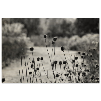 3f63ab56-4679-40f5-b911-ca954ba0734f