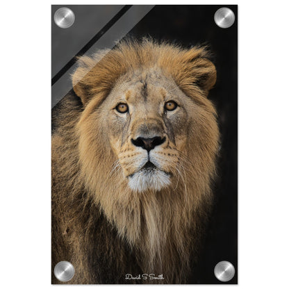 3fa6b237-3ec6-494b-9b9f-d52a2a06da95