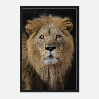 3ff51f47-f759-4c51-87ba-eb854c8a3a94