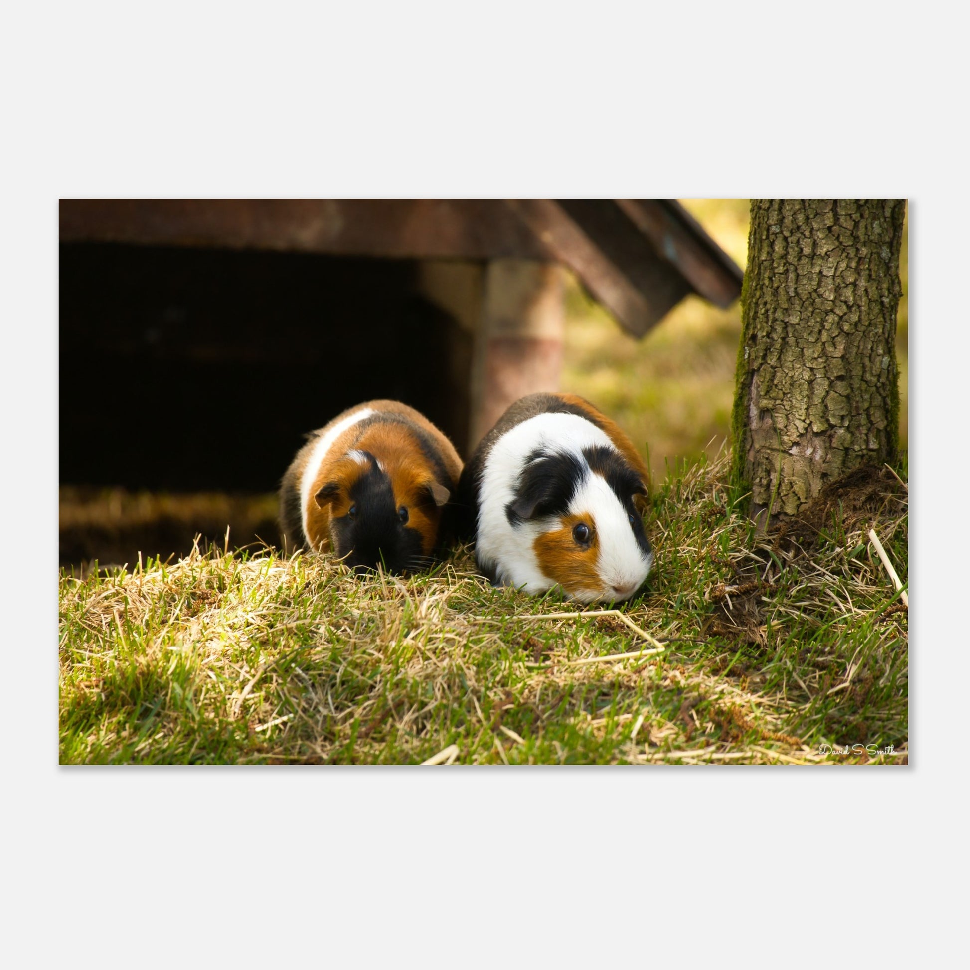 406f6b85-aa5a-4f80-82c4-f4d97814ff8a