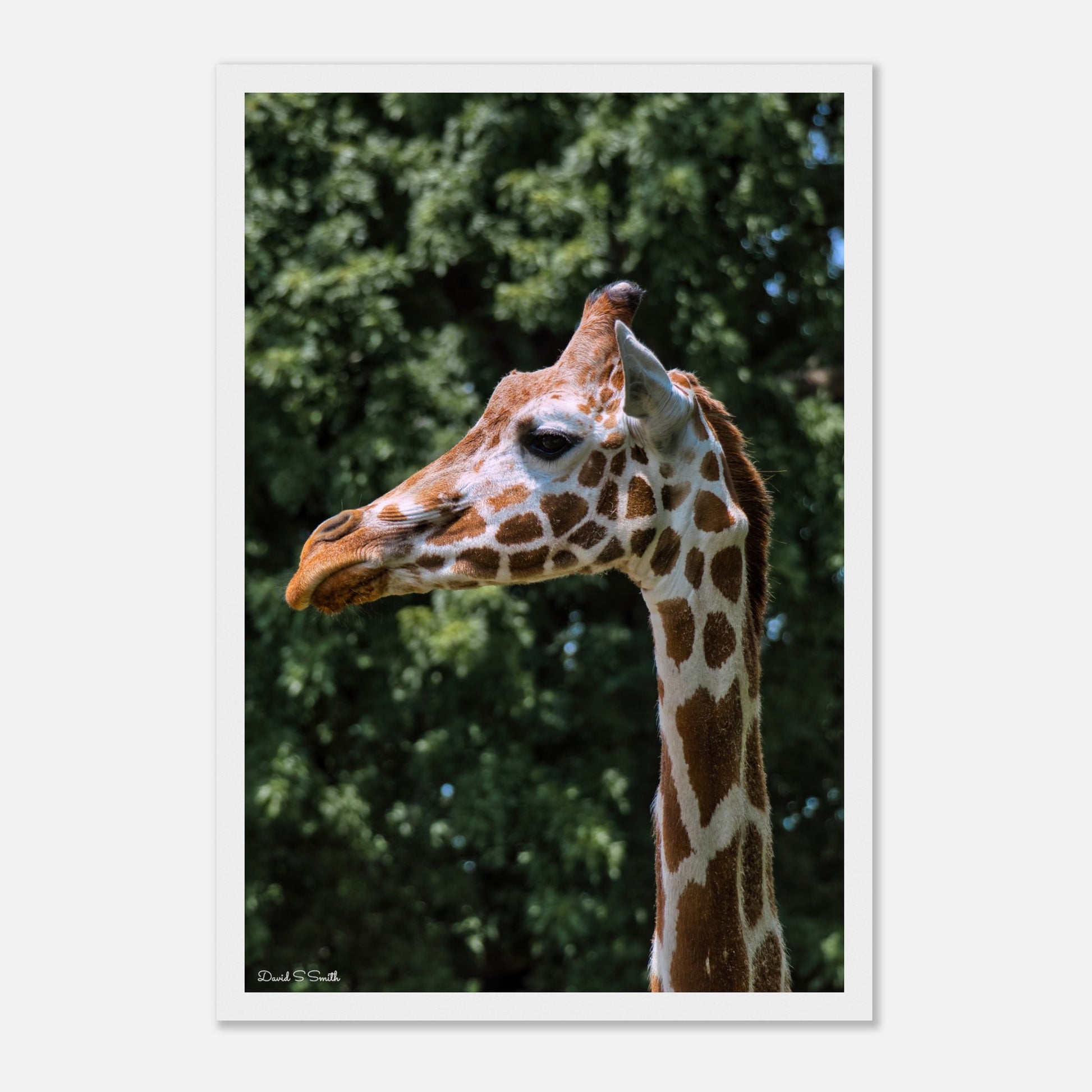 42776017-a407-4800-83fa-658f3001f3b0