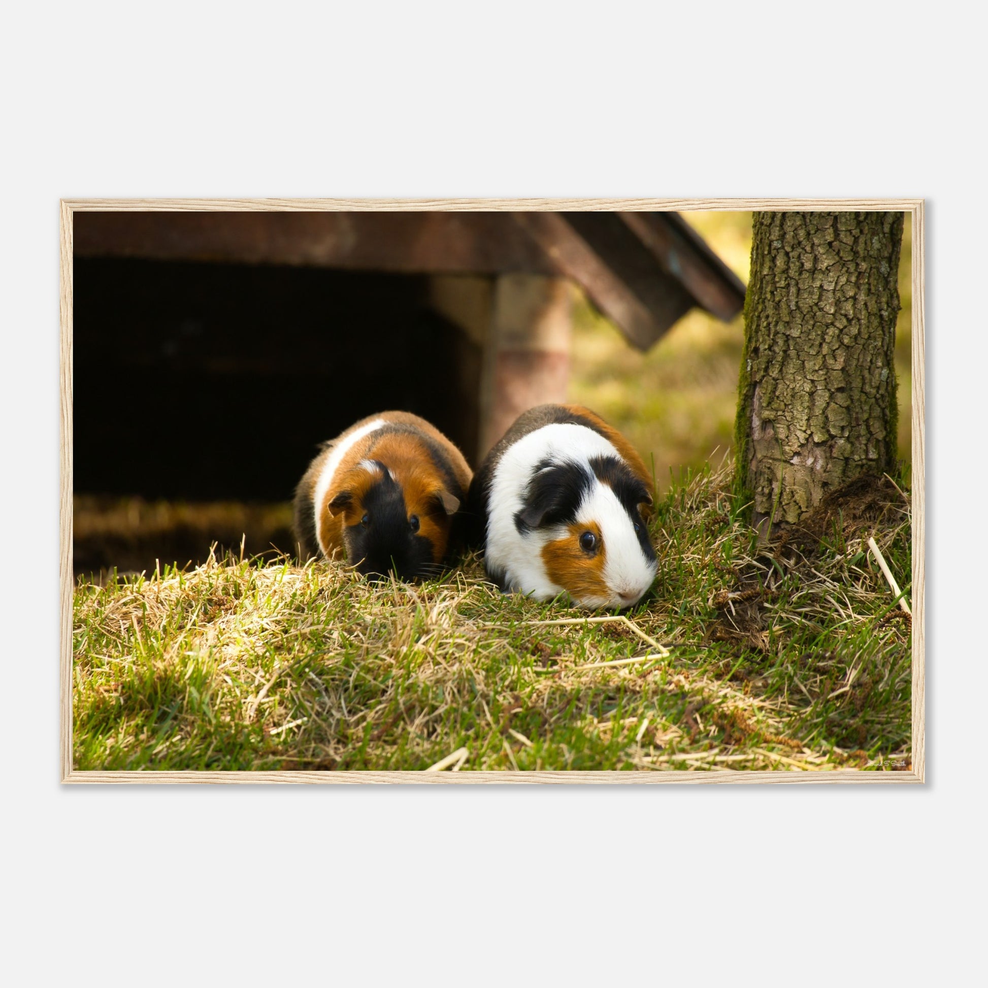 42a06786-72cf-42ac-a21b-1dbe82cfb363