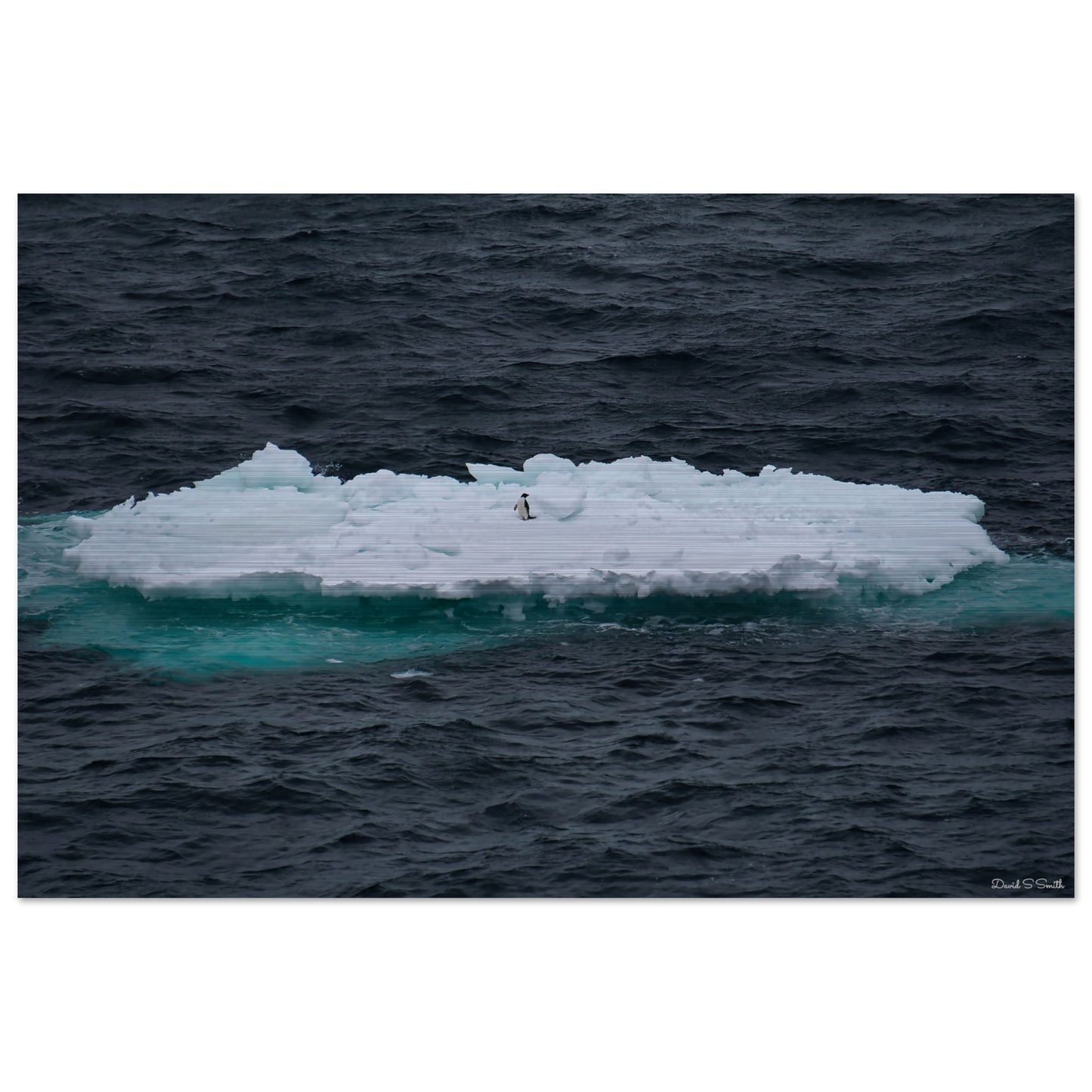 460fdad0-a278-4251-9fd7-3281686ab1c4