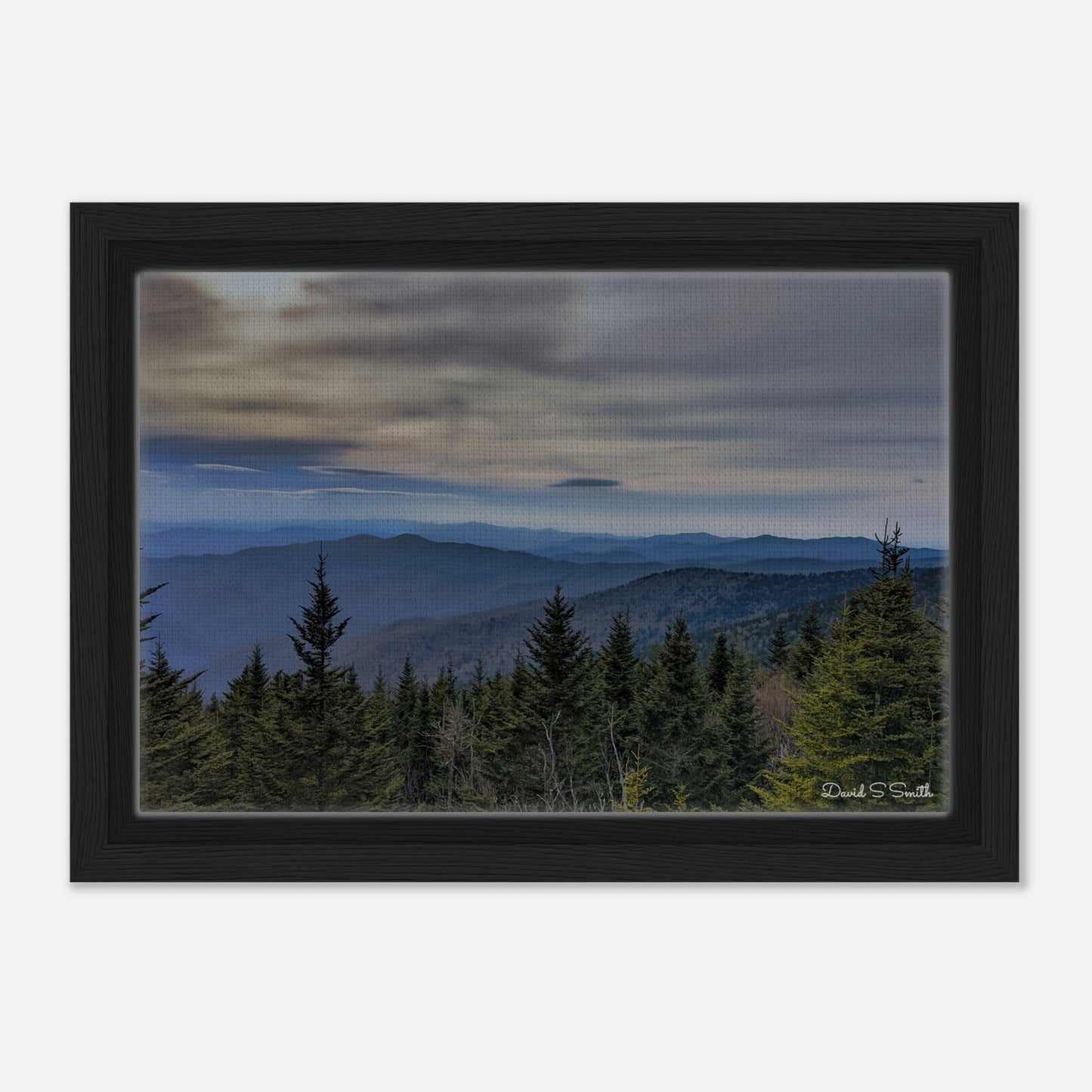 46b5973d-0382-46a1-b46c-248a0f0d9ae0