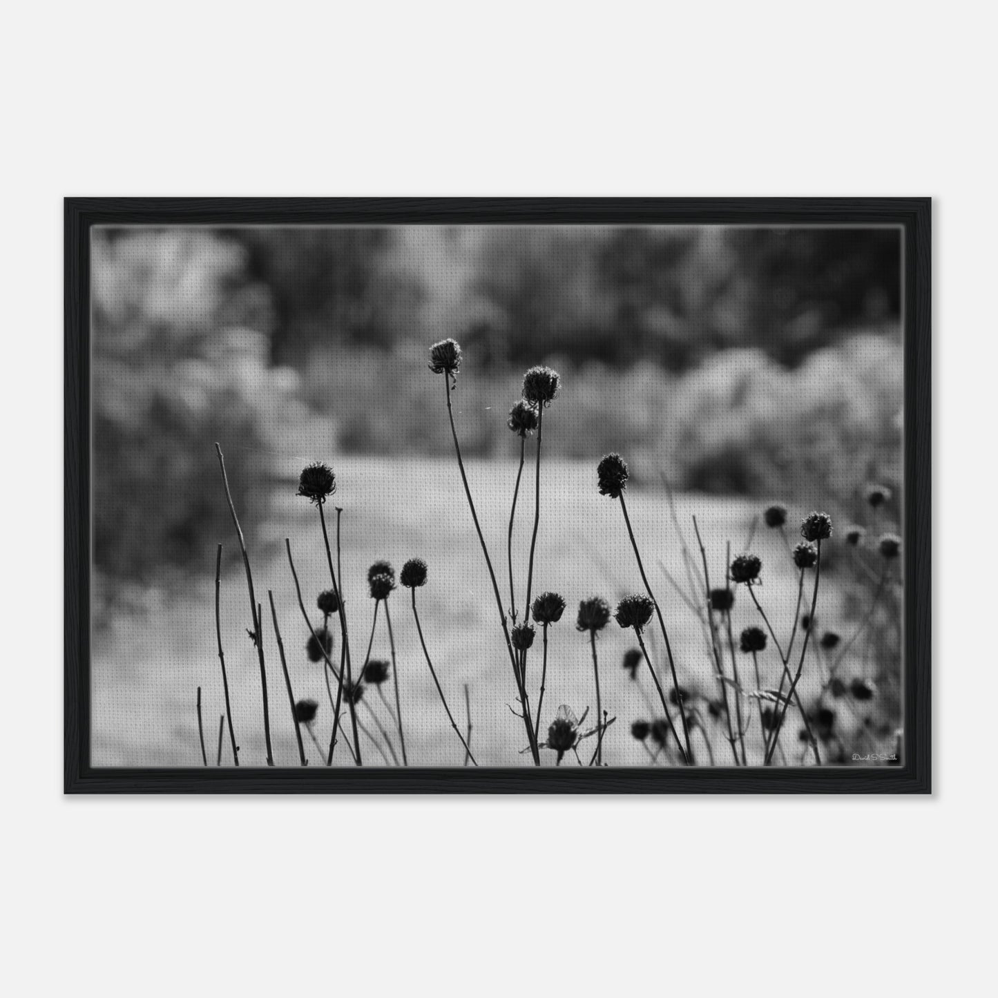 4765baea-2d7c-48e3-8643-e7421cb84da7