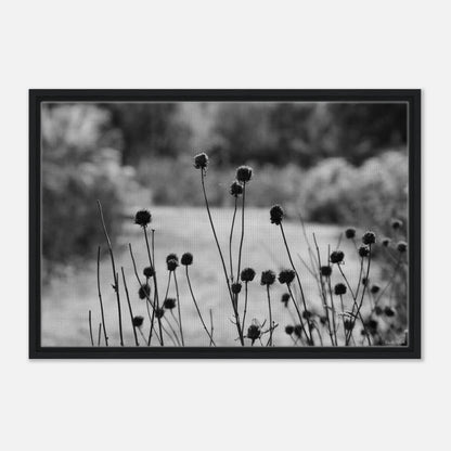 4765baea-2d7c-48e3-8643-e7421cb84da7