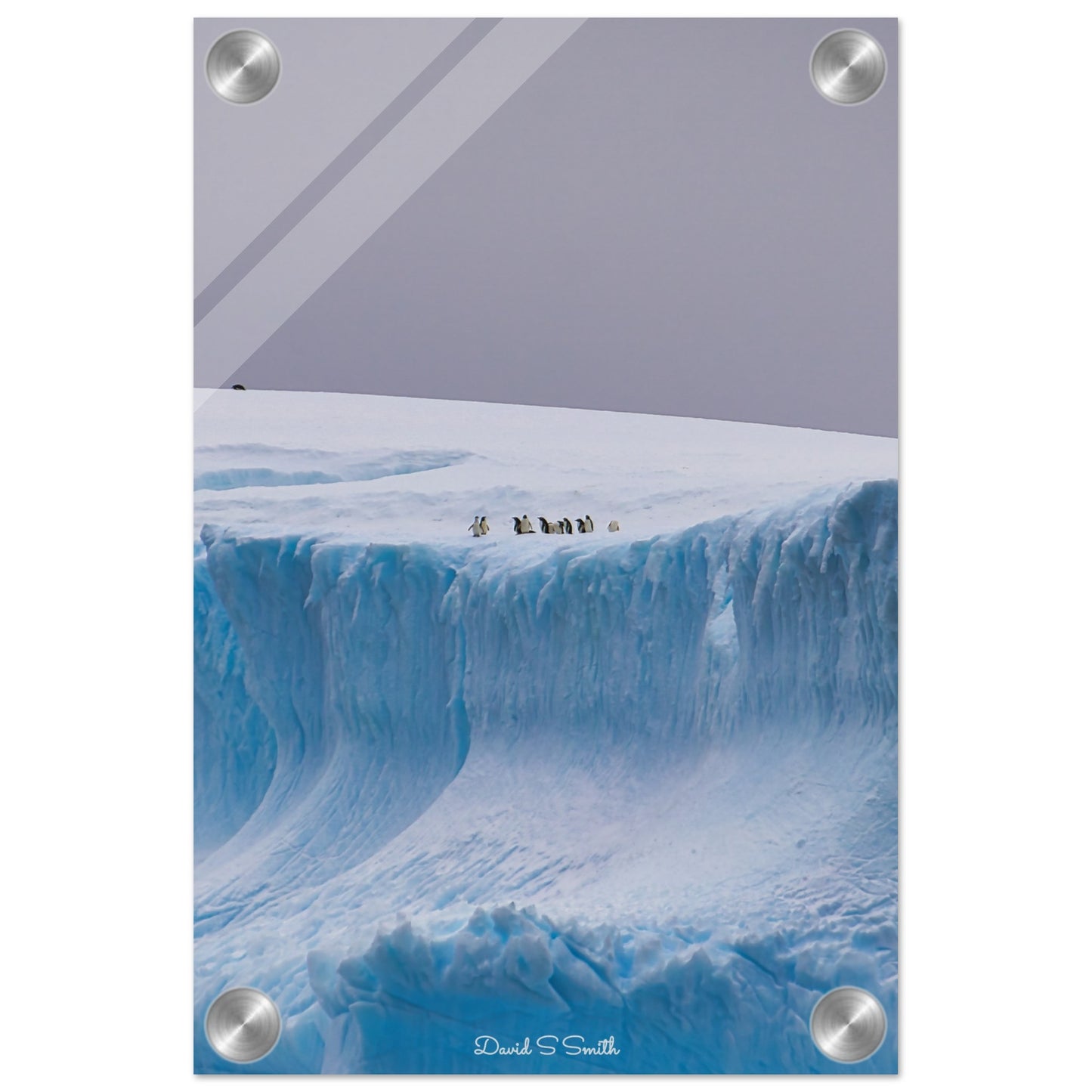 4767281f-b465-4f5d-9658-37637050224c