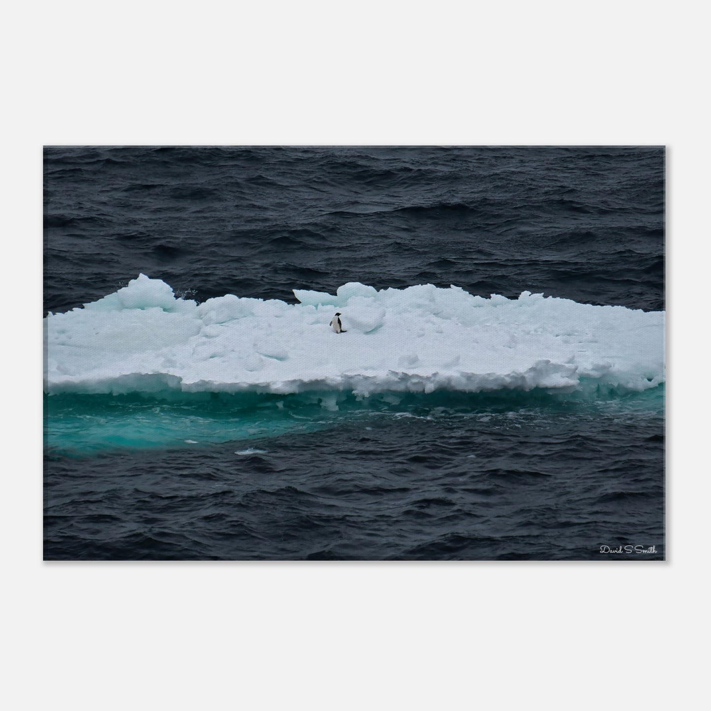 47f91592-f40d-4578-945b-d67bf1f85fe3