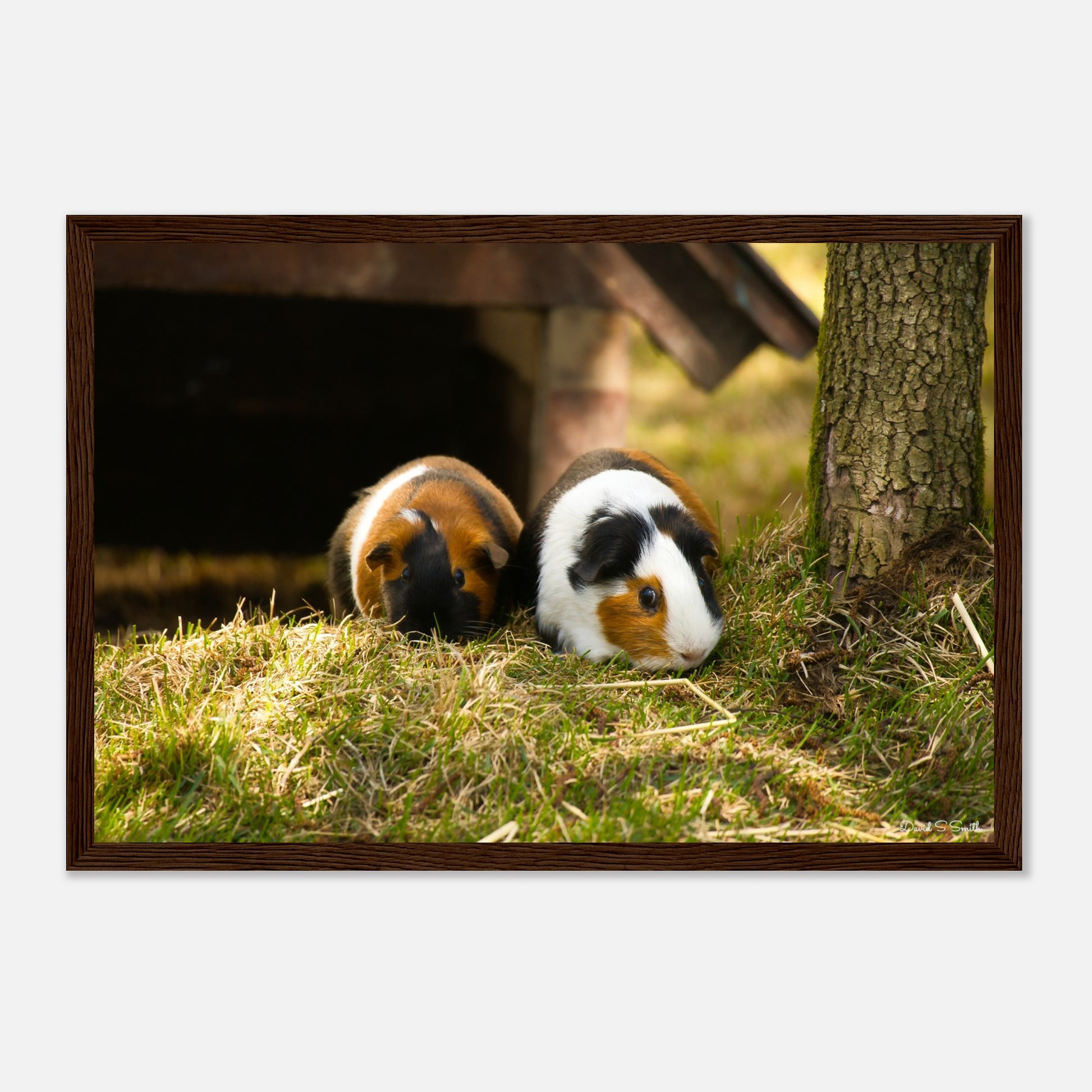 48445c59-5e45-48be-8deb-cd2beaa66e02