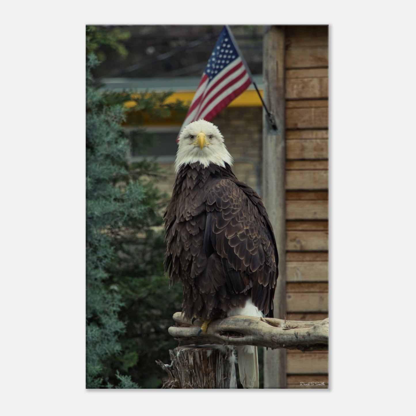 4944d5cf-a013-444e-8269-42023963e702