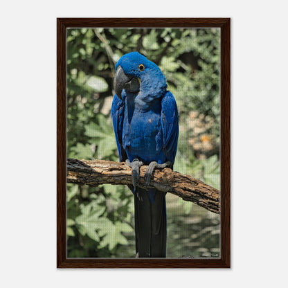 49509a01-fcb8-41bd-a57c-802aa67a1767