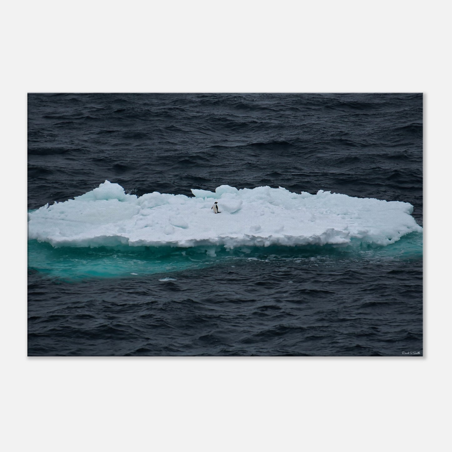 4a322f7f-a18b-40ff-8c3a-954ba8d23d37