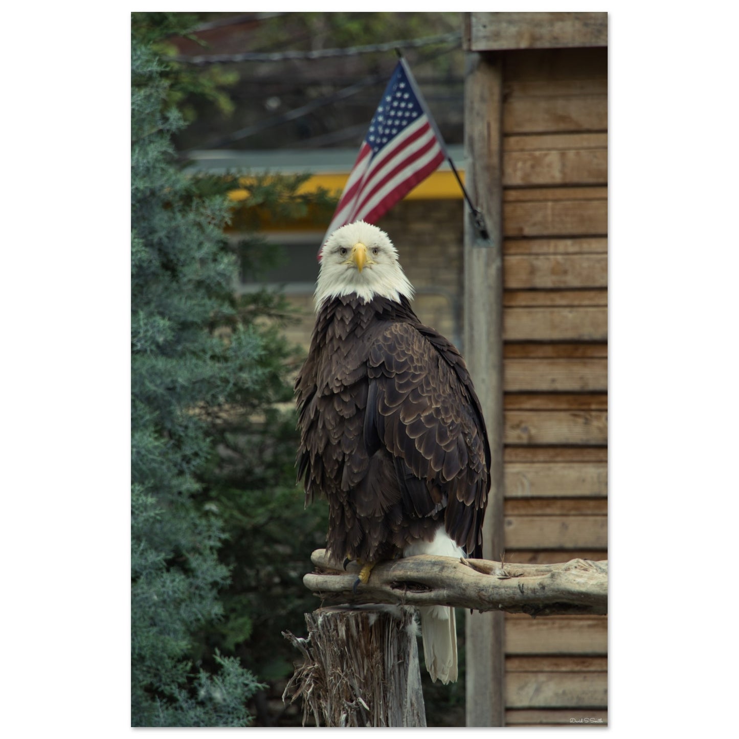 4a75b4ea-9a8b-48a8-8e8c-73cbd129c40b