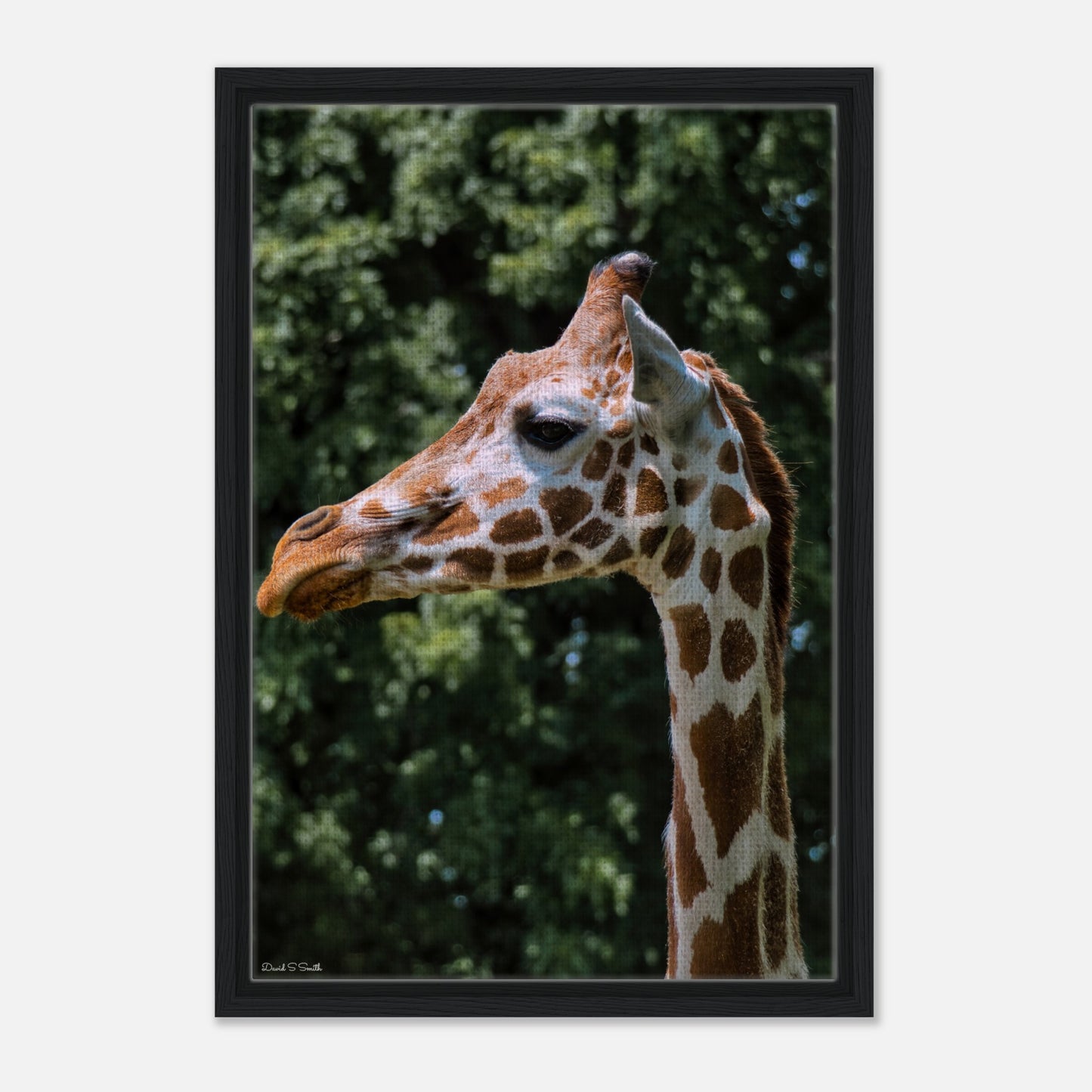 4b8fec6a-3a38-4248-9ed7-67edfc294af0