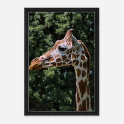 4b8fec6a-3a38-4248-9ed7-67edfc294af0