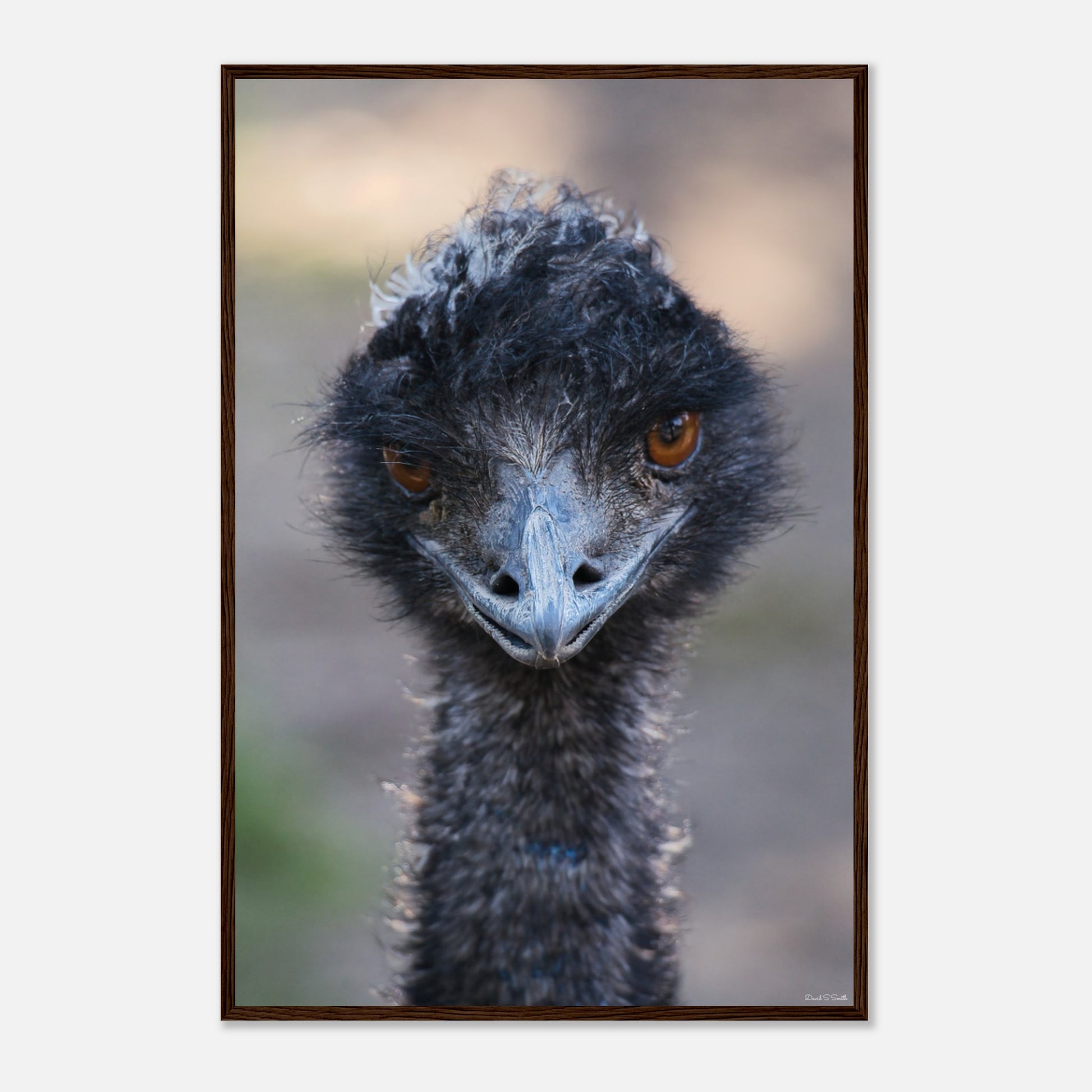 4c95409b-59a2-43df-8070-5cadb6dda1c0