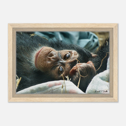 4f873874-a19f-4f8e-a9f8-d5efca204516