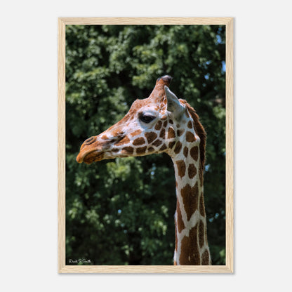 502508ca-8962-485e-8c19-60e5bd99513b