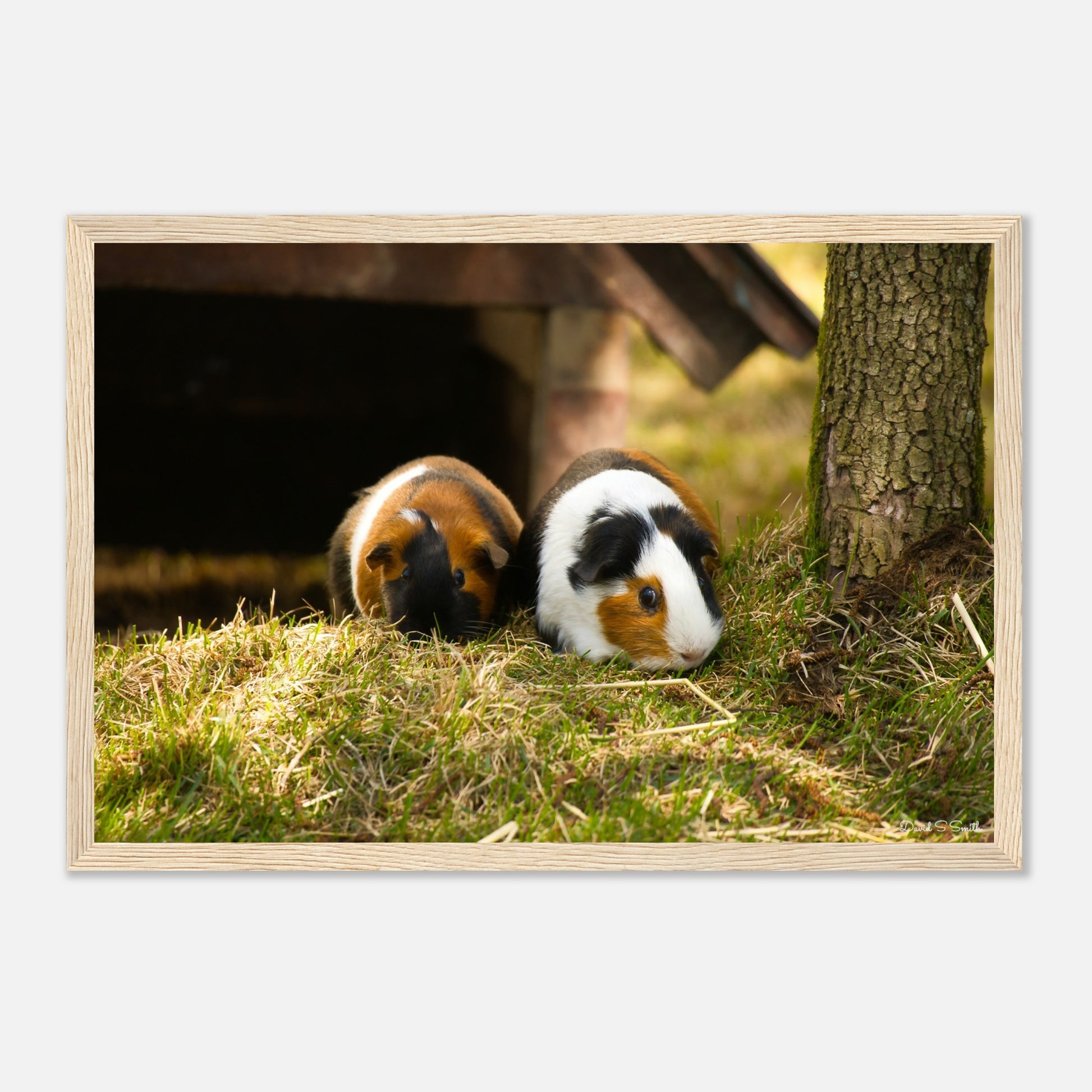 5098cb21-d5a7-41cf-b050-9993a3b152e9