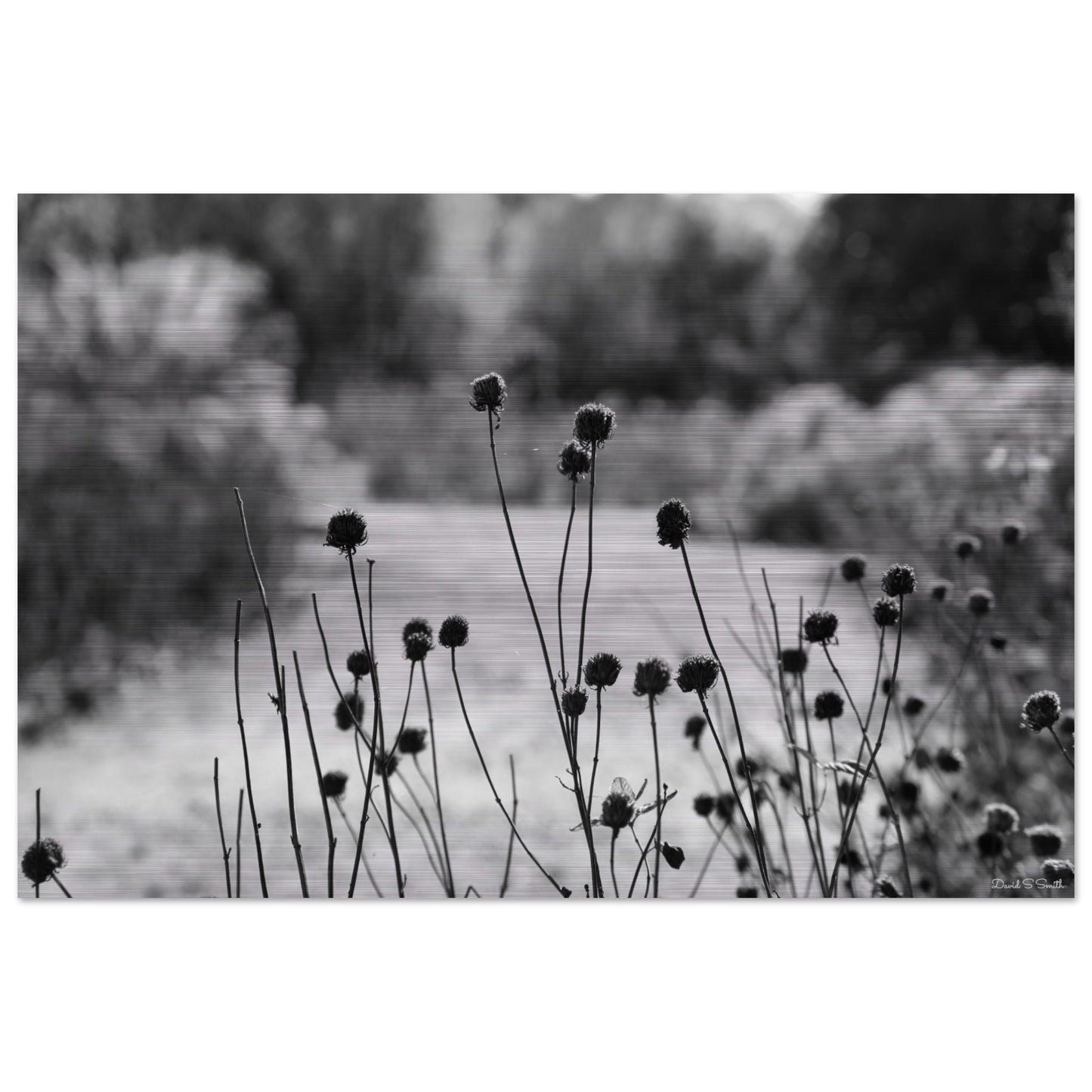 50aaf937-dbea-42ff-9fc6-2e67a0d55596