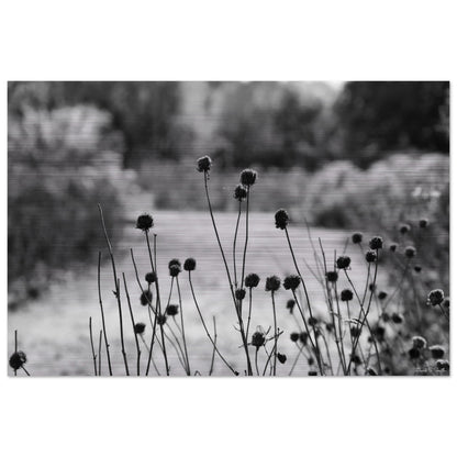 50aaf937-dbea-42ff-9fc6-2e67a0d55596