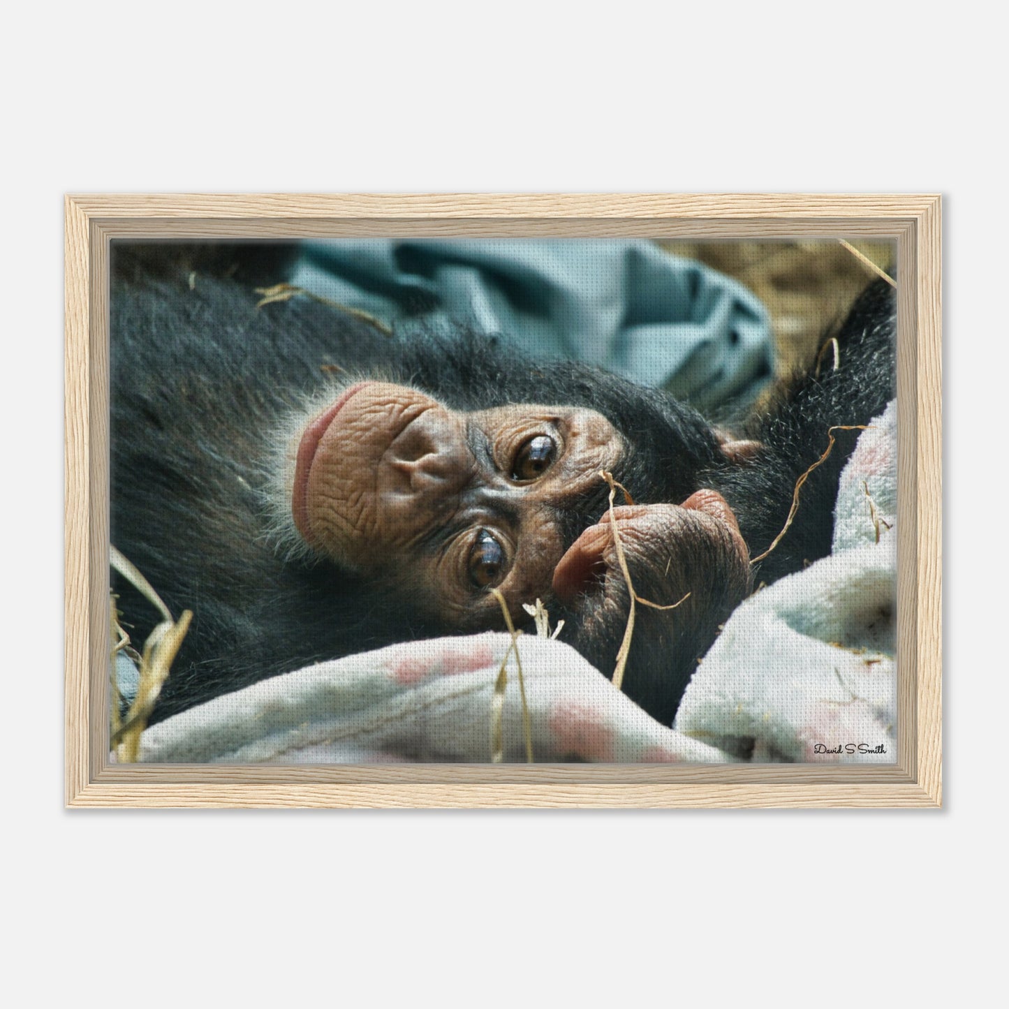 50cb9975-b5e4-4e60-982d-ea0b824965c0