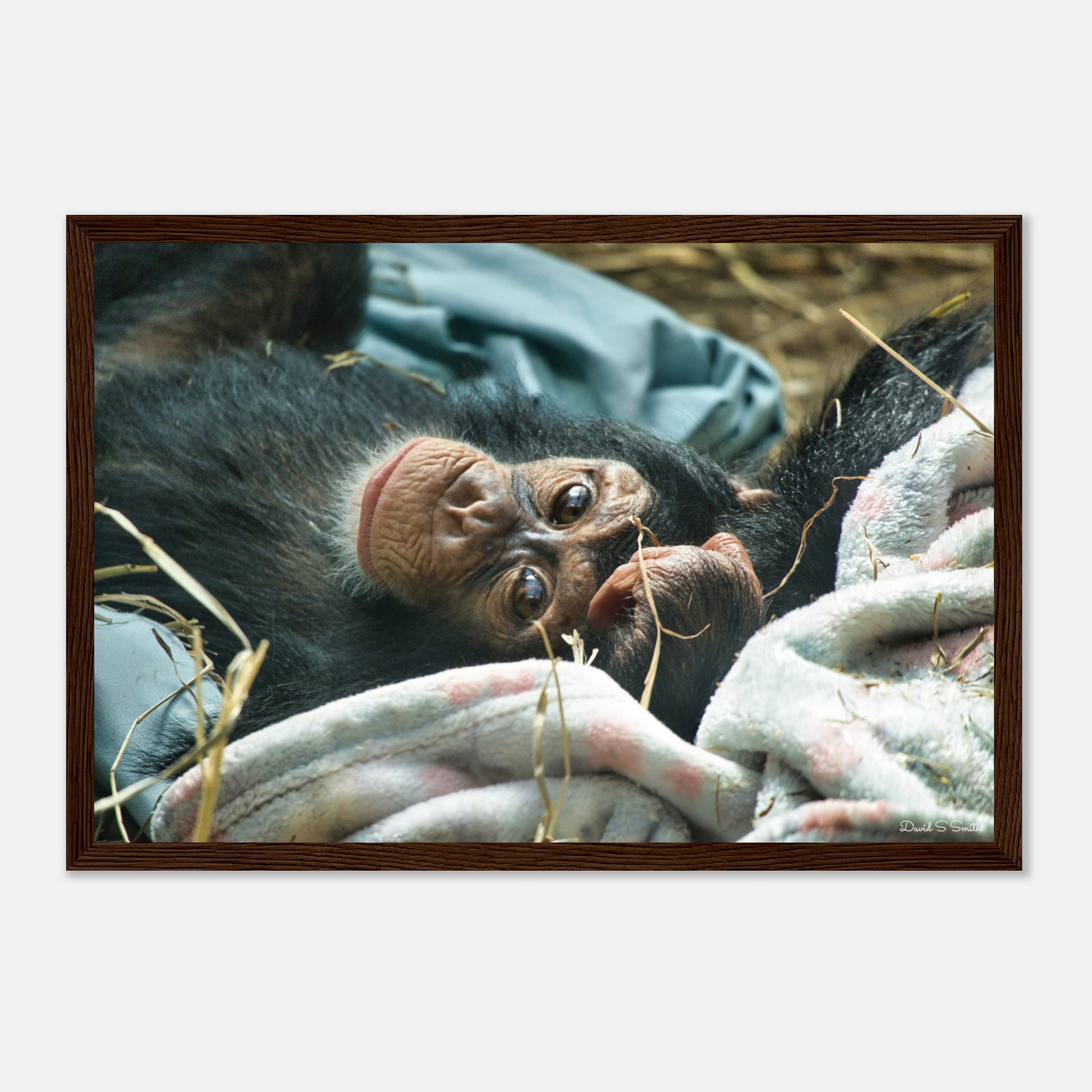 50cc4128-1ef6-41a7-ab57-1f01afe26ada