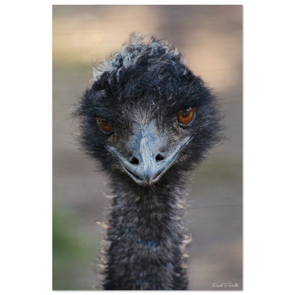 51826c8e-4850-4346-b4e0-e3ae92953a58