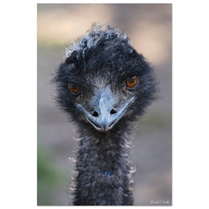 51d2a122-b72d-4421-9b59-4d8fda9ff23f