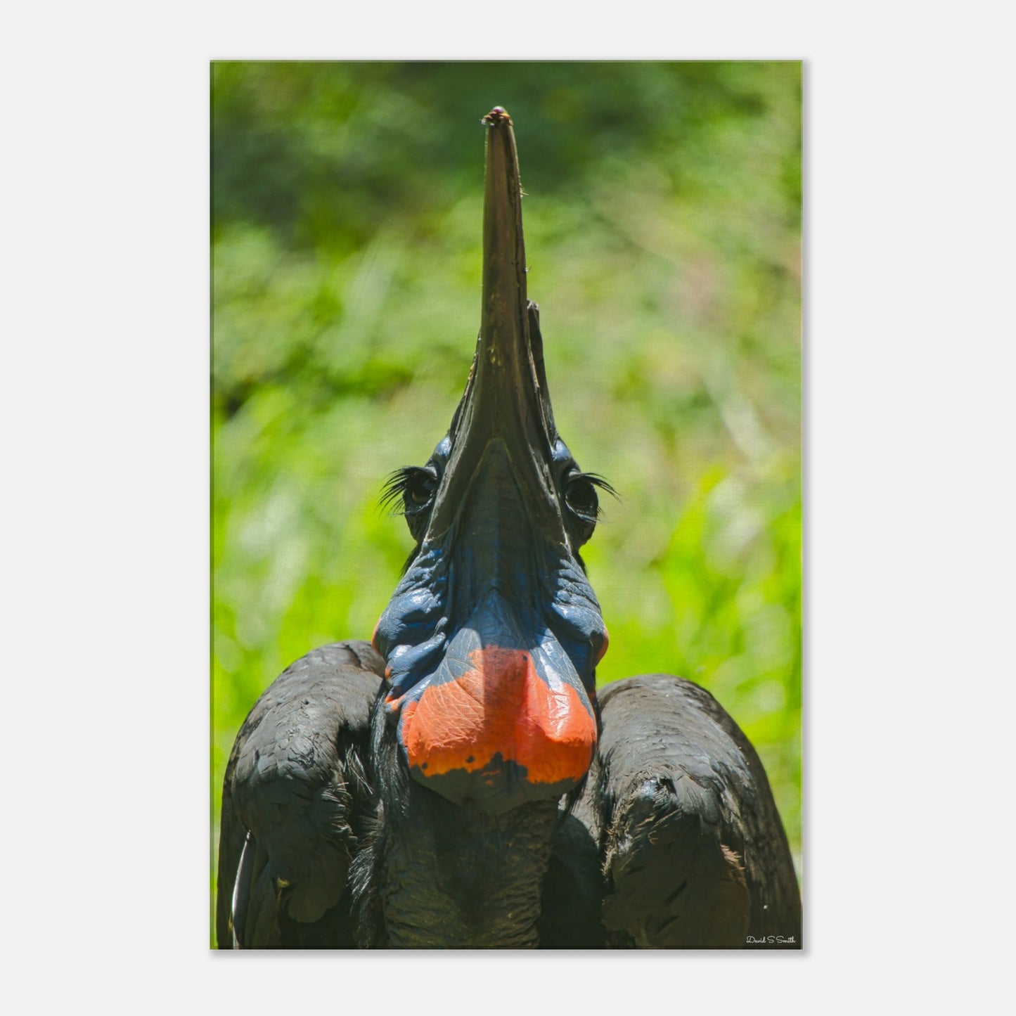 53acd41f-02f2-4140-91e9-fb5c63c6e9a5