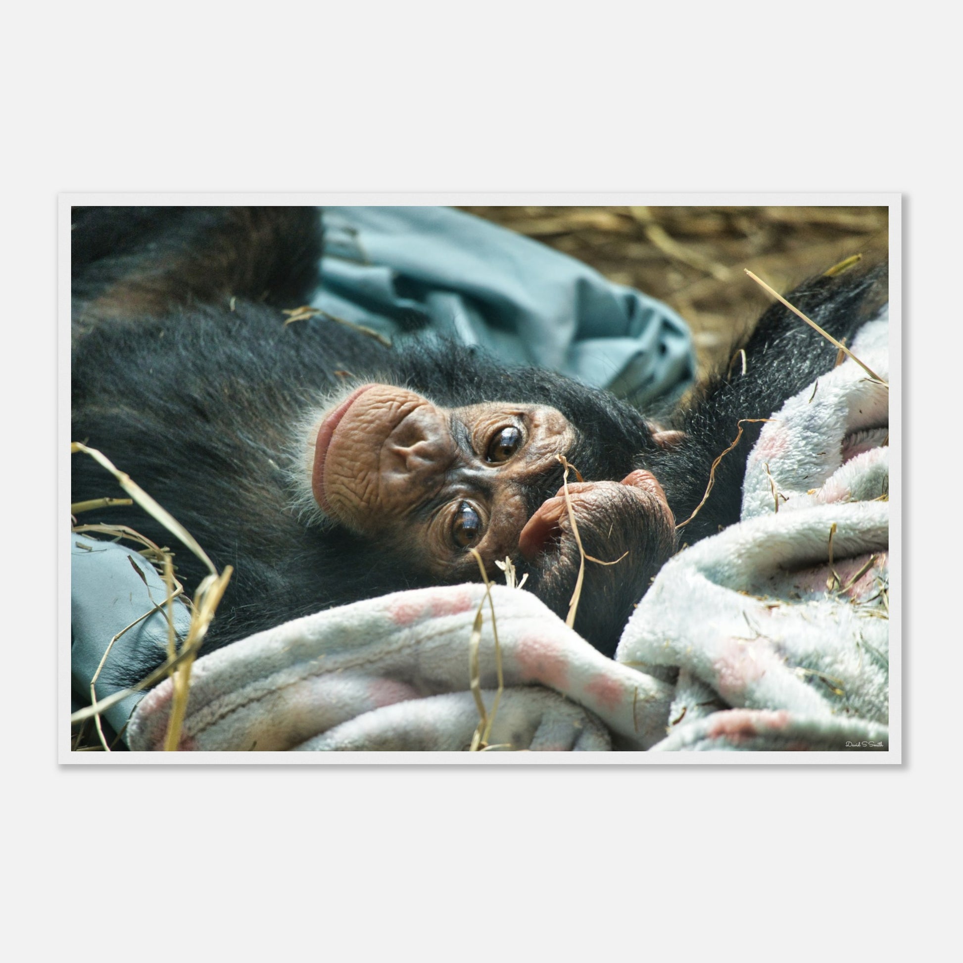 53b40da3-af07-47c1-99fd-e1458a5a74bd