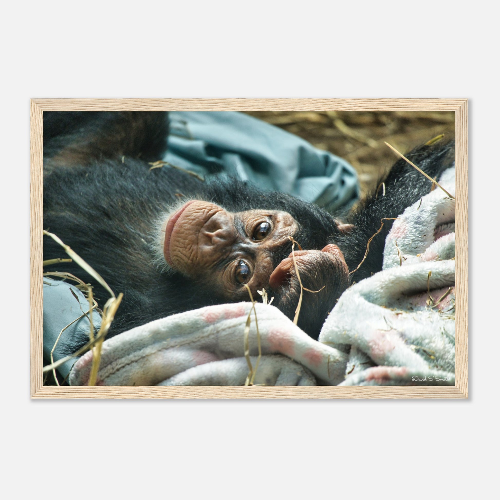 54900dbb-a405-4d20-8b45-5023a6393e16