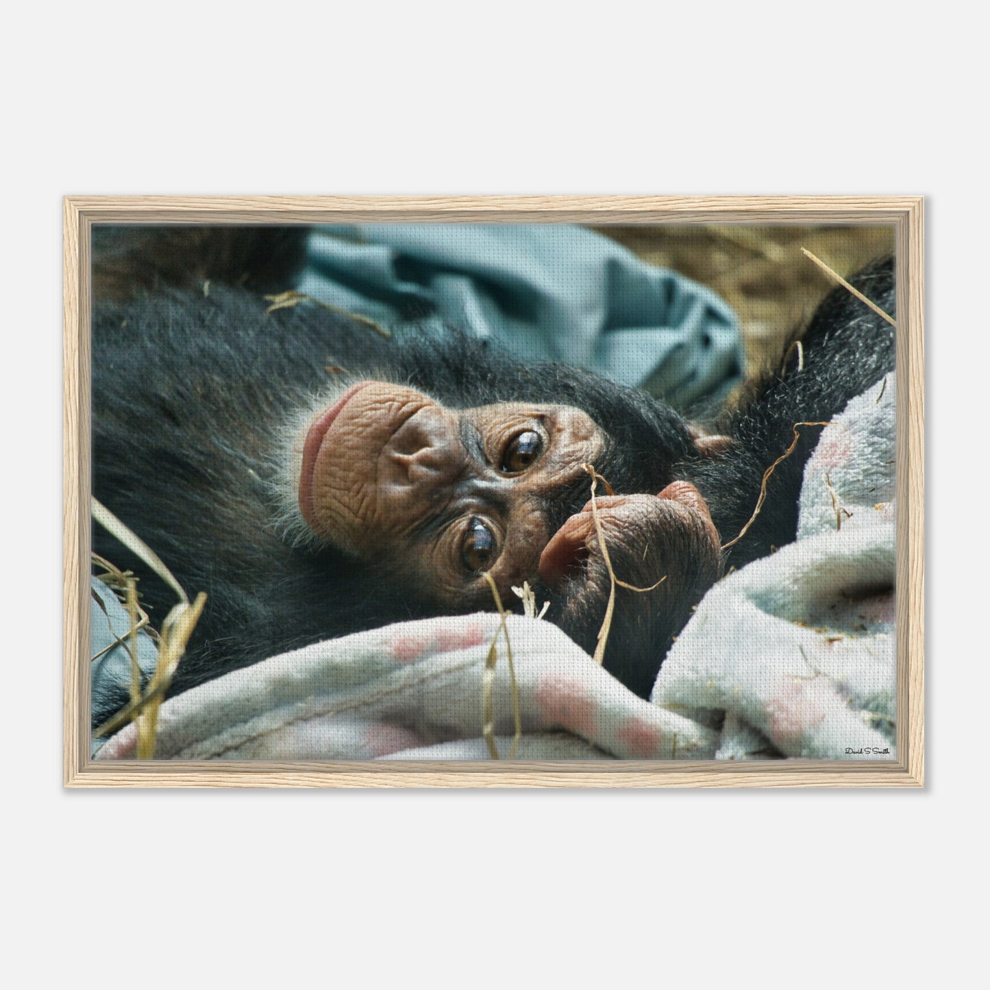 5606cdc7-3199-4ca6-9b39-0583cff3f4f7