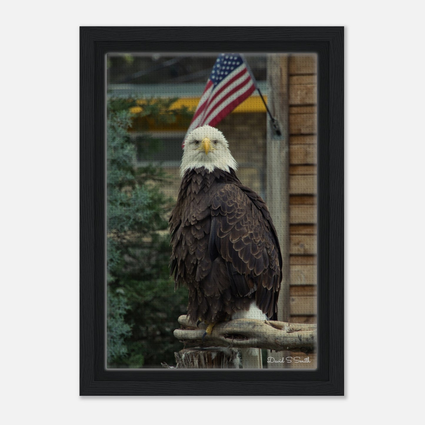 5870c50e-c011-42c8-ad27-eaa926108f6b