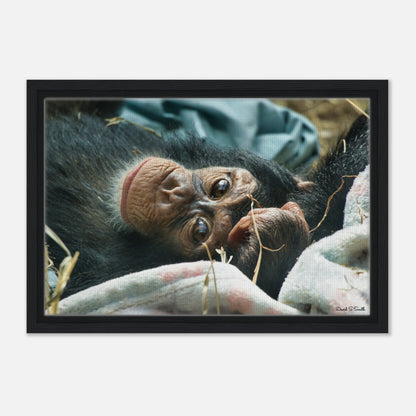 588b8e87-bb9f-4586-b793-97abaea0d1ec